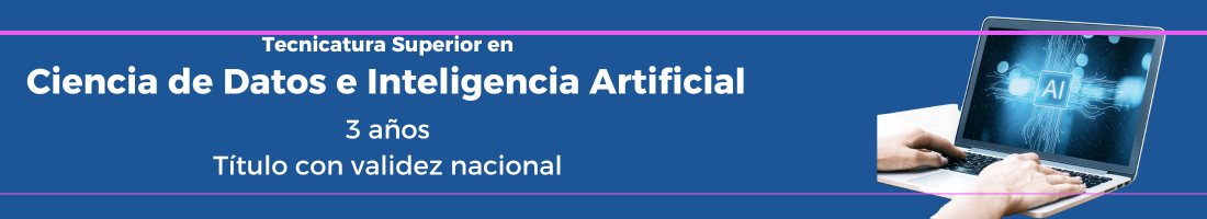 Enfermero Profesional